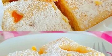 Ein Traum, Mandarinen Blechkuchen in 5 Minuten bereit für den Ofen