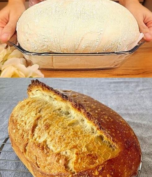 Hausbrot Rezept von Oma 100 Jahre alt ich kaufe sicher nie wieder