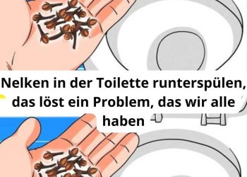 Nelken in der Toilette runterspülen, das löst ein Problem, das wir alle haben