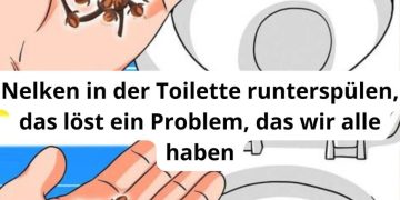 Nelken in der Toilette runterspülen, das löst ein Problem, das wir alle haben