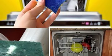 GESCHIRRSPÜLER, VOR DEM START IMMER EINEN SCHWAMM EINLEGEN: DER GRUND