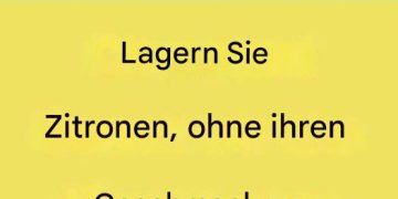 So lagern Sie Ihre Zitronen richtig: 5 Tipps, die Sie befolgen sollten