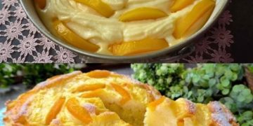 Saftiger Aprikosenkuchen mit Pudding – ein Traum aus Frucht und Creme