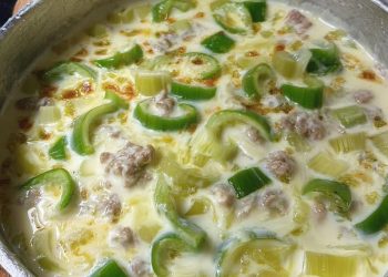 Leckerer Käse-Lauch-Suppe