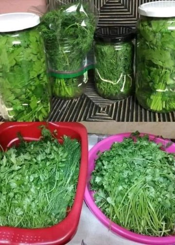 So bleibt Petersilie monatelang frisch und frisch