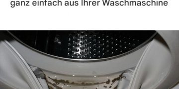 So entfernen Sie ganz einfach gefährlichen Schimmel und Gerüche aus Ihrer Waschmaschine