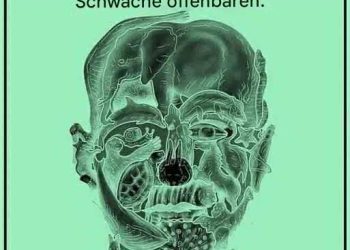 Welches Tier Sie in diesem Bild zuerst sehen, könnte etwas über Ihre Persönlichkeit verraten