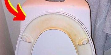 Der Trick, um gelbe Flecken auf dem WC-Sitz zu entfernen