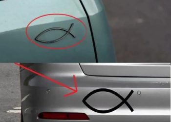 Was bedeutet das kleine fischförmige Symbol, das man auf der Rückseite mancher Autos sieht, und wozu wird es verwendet?
