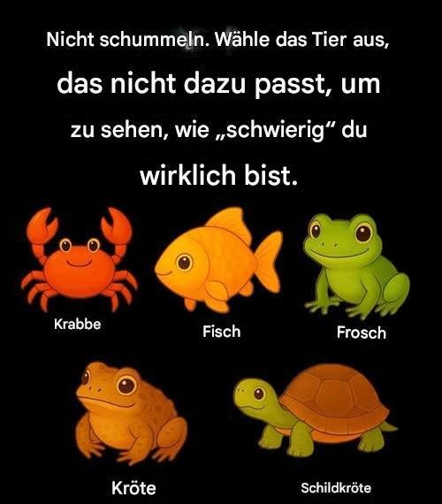 Schummel nicht. Such dir das unpassende Element aus, um zu sehen, wie „schwierig“ du wirklich bist.