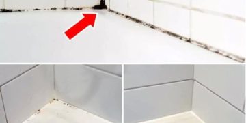 Silikonfugen von Schimmel befreien: So funktioniert’s
