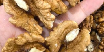 Ärzte enthüllen, dass der Verzehr von Walnüssen verursacht