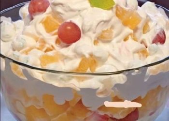 Es gibt nichts Besseres als den Ambrosia-Salat meiner Oma! Meine Oma macht den besten!