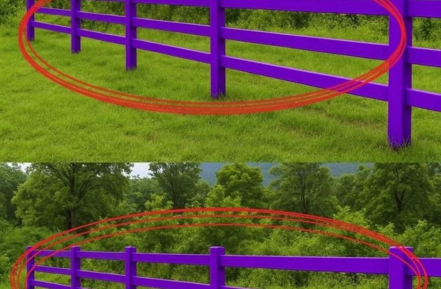 Wenn Sie einen lila gestrichenen Zaun sehen, bedeutet das Folgendes