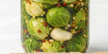 Eingelegter Rosenkohl überraschend anders und einfach ein kleiner Geheimtipp