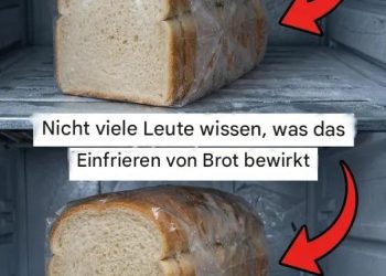 Ein praktischer Leitfaden zum richtigen Einfrieren von Brot