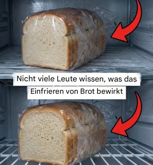 Ein praktischer Leitfaden zum richtigen Einfrieren von Brot