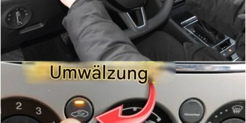 Ein sehr notwendiger Knopf im Auto, an den sich viele Fahrer nicht erinnern, den sie nicht kennen und den sie nicht benutzen
