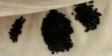 Ich habe das unter meiner Matratze gefunden