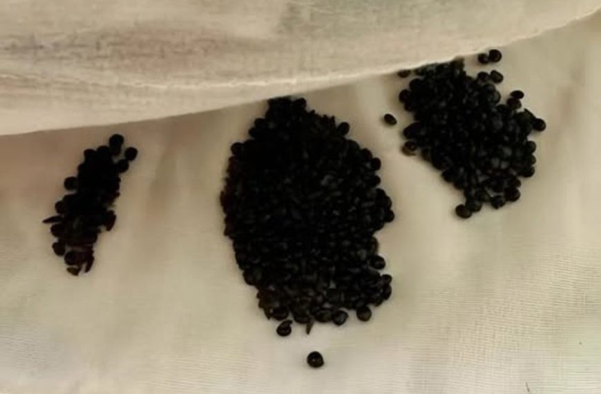 Ich habe das unter meiner Matratze gefunden