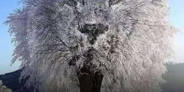 Eine optische Täuschung verrät Ihnen anhand dessen, was Sie sehen, ob Sie eher zurückhaltend oder mächtig sind