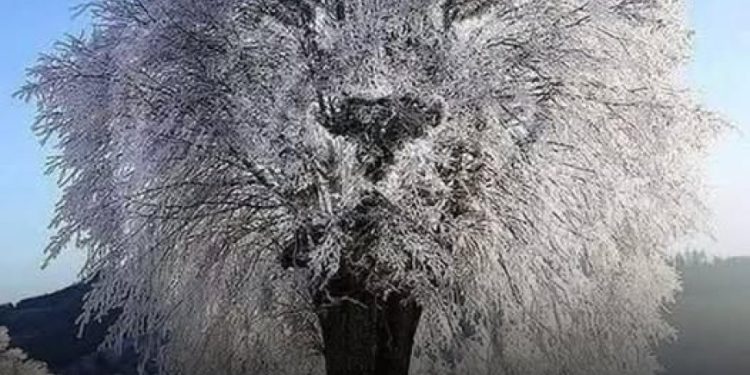 Eine optische Täuschung verrät Ihnen anhand dessen, was Sie sehen, ob Sie eher zurückhaltend oder mächtig sind