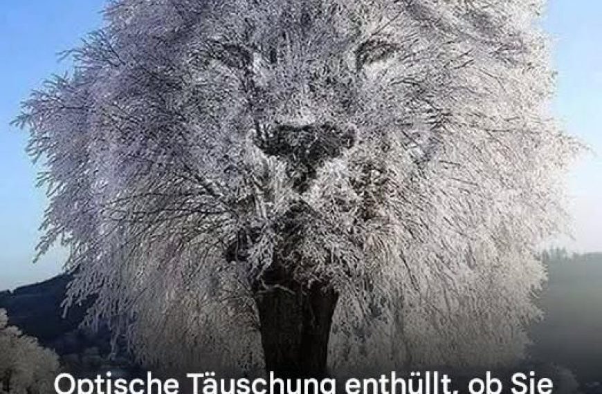 Eine optische Täuschung verrät Ihnen anhand dessen, was Sie sehen, ob Sie eher zurückhaltend oder mächtig sind