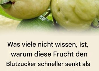 Entdecke die Kraft dieser wundersamen Frucht.