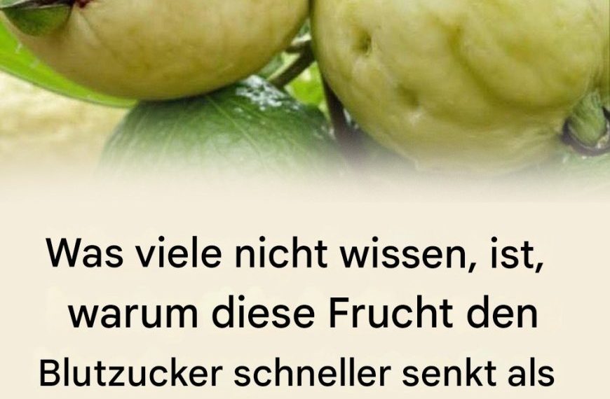 Entdecke die Kraft dieser wundersamen Frucht.