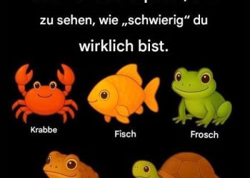 Schummel nicht. Such dir das unpassende Element aus, um zu sehen, wie „schwierig“ du wirklich bist.