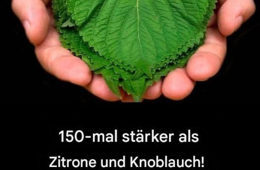 150-mal stärker als Zitrone und Knoblauch!