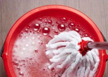 Geben Sie dies zum Wasser hinzu. Auch wenn Sie den Boden eine Woche lang nicht reinigen