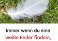 Die verborgene Botschaft hinter der Suche nach einer weißen Feder: Spirituelle und aufschlussreiche Bedeutung