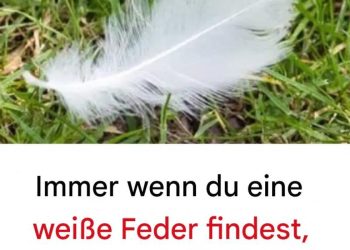 Die verborgene Botschaft hinter der Suche nach einer weißen Feder: Spirituelle und aufschlussreiche Bedeutung