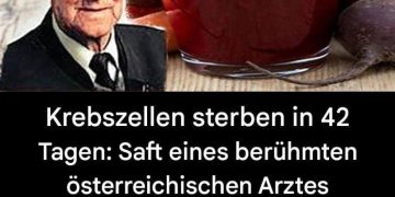 Krebszellen sterben in 42 Tagen: Saft eines berühmten österreichischen Arztes zerstört Krebszellen