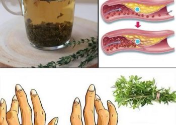 Das Wundermittel der Natur für eine Vielzahl von Gesundheitsproblemen