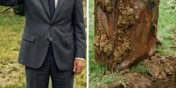 Mein älterer Nachbar ist gestorben – nach seiner Beerdigung erhielt ich einen Brief von ihm, in dem er enthüllte, dass er vor 40 Jahren ein Geheimnis in seinem Garten vergraben hatte.