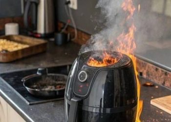 Einige Empfehlungen für Benutzer von Heißluftfritteusen