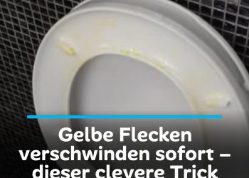 Der Trick, um gelbe Flecken auf dem WC-Sitz zu entfernen