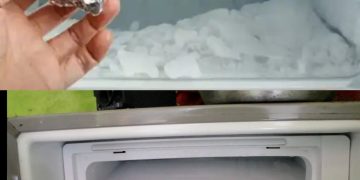 Mit einem einfachen Trick dem Frost ein Ende setzen