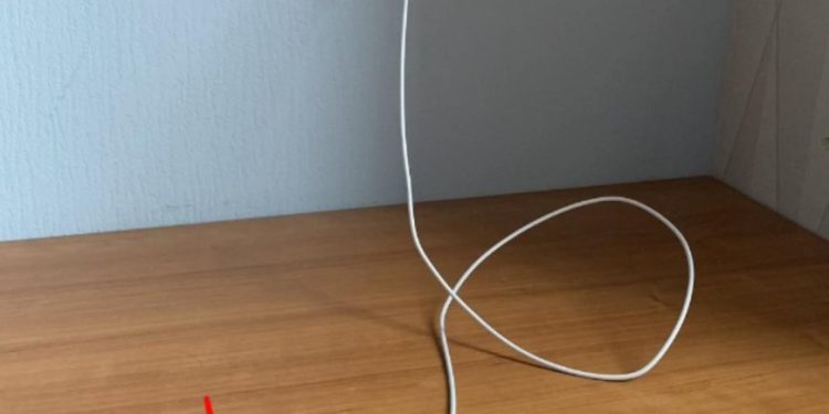 Lassen Sie das Ladegerät niemals ohne Ihr Telefon in einer Steckdose eingesteckt.