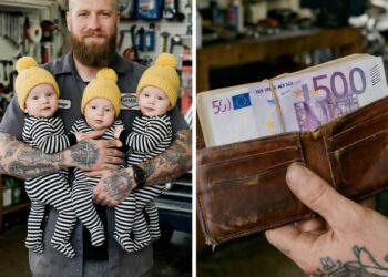 Ehrlichkeit zahlt sich aus