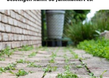 Davon hatte ich keine Ahnung! Gut zu wissen