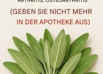 Ein natürliches Heilmittel für die Gesundheit des Gehirns, Entzündungen und Gelenkschmerzen