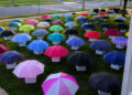 Der Regenschirm der Linie 47
