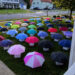 Der Regenschirm der Linie 47