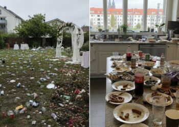Der verwüstete Hochzeitsgarten: Wie 286 Pflanzensamen meine egoistische Schwägerin die wertvollste Lektion ihres Lebens lehrten
